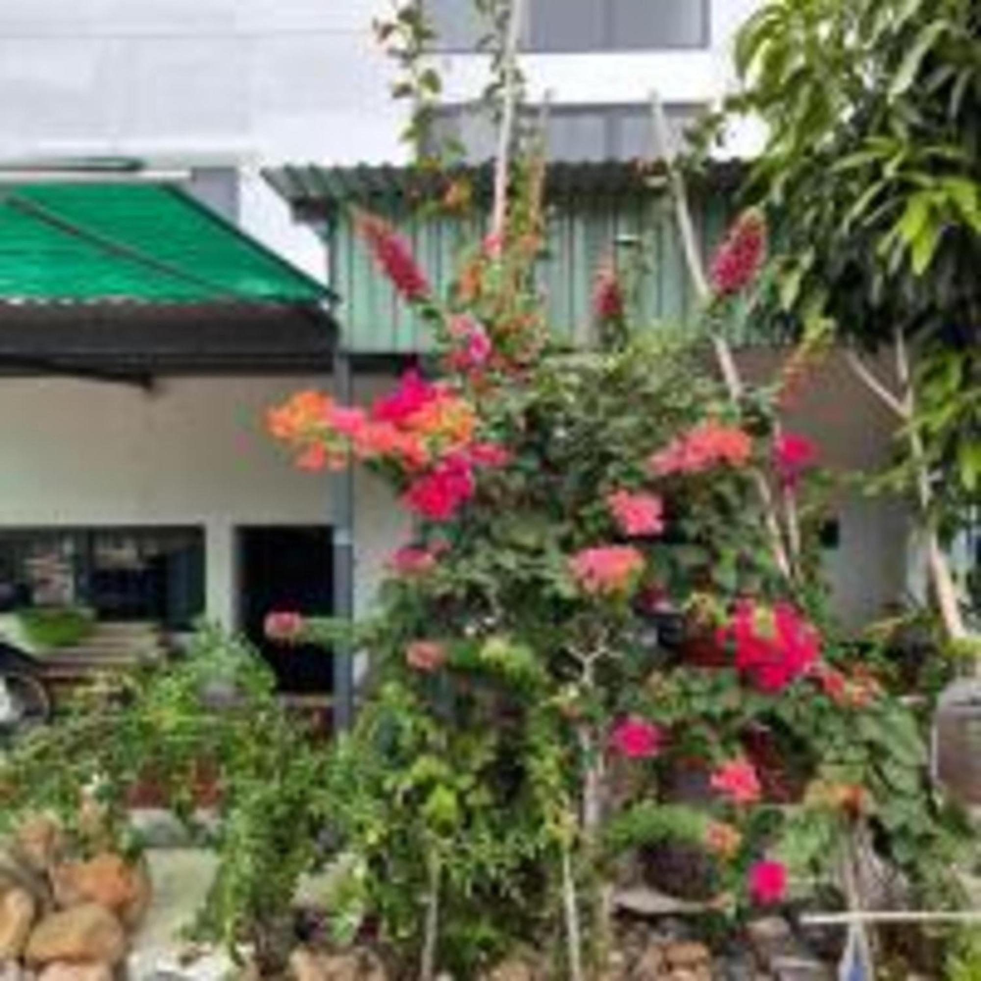 Duc Luu Quang Hotel Binh Thuan Tuy Phong Εξωτερικό φωτογραφία