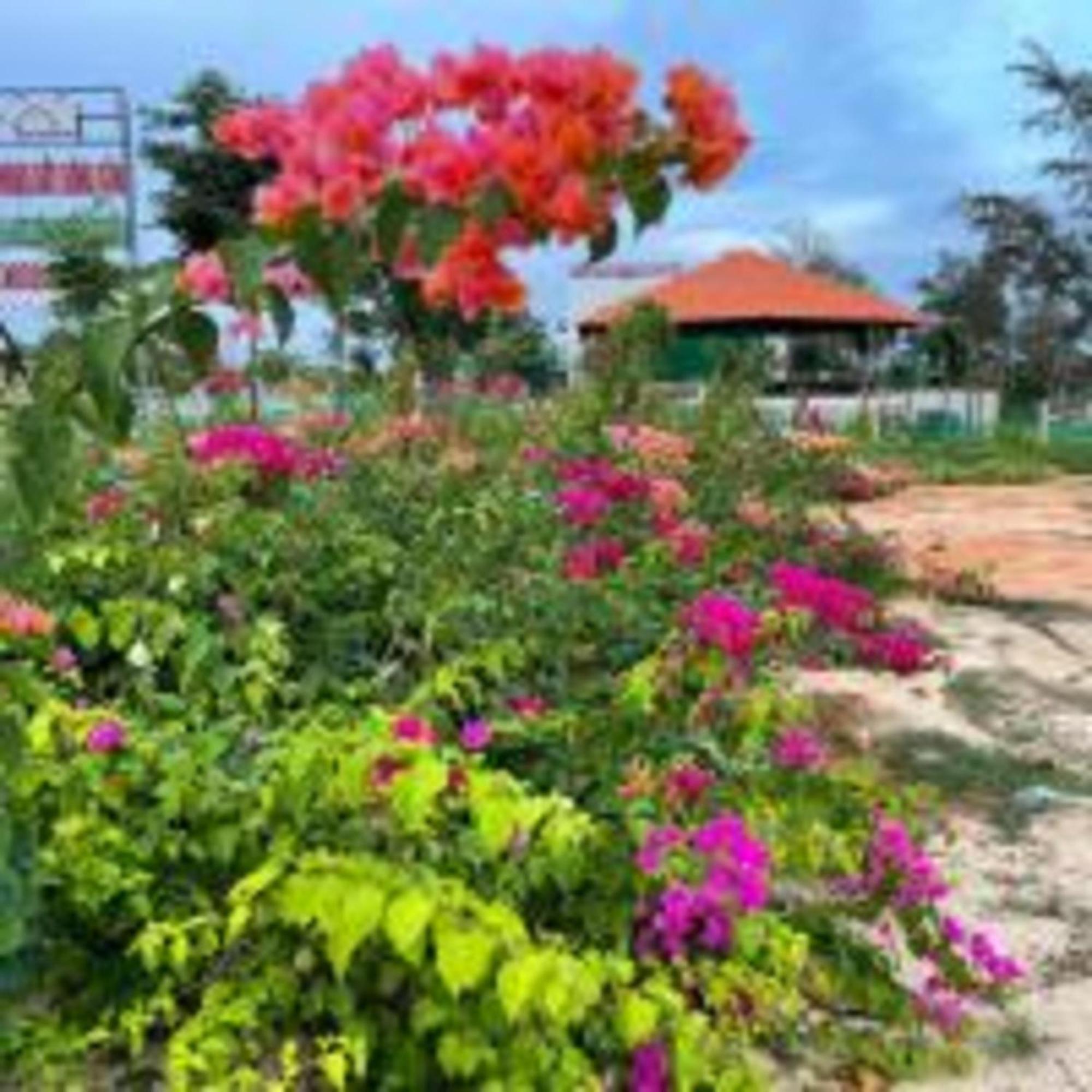 Duc Luu Quang Hotel Binh Thuan Tuy Phong Εξωτερικό φωτογραφία