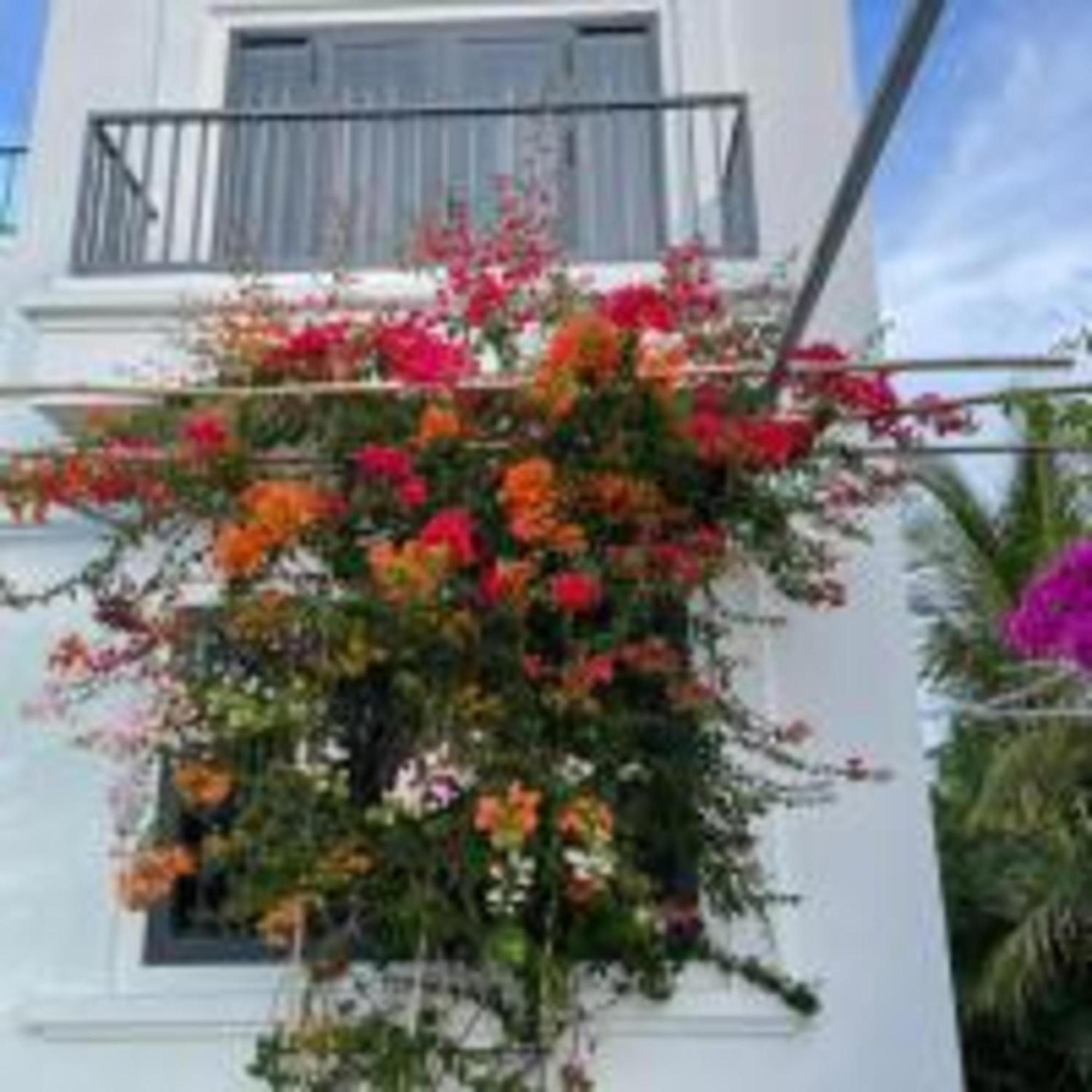 Duc Luu Quang Hotel Binh Thuan Tuy Phong Εξωτερικό φωτογραφία