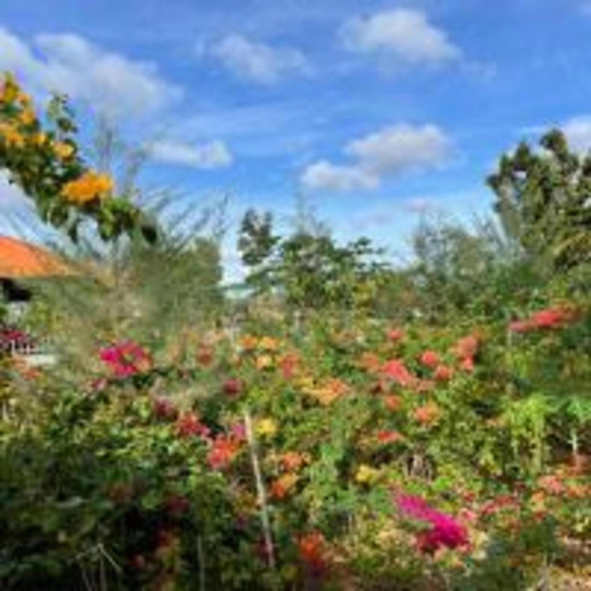 Duc Luu Quang Hotel Binh Thuan Tuy Phong Εξωτερικό φωτογραφία
